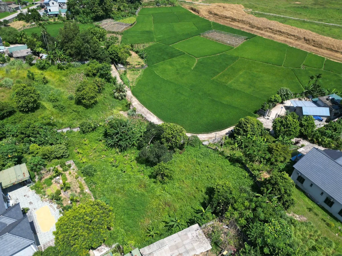 Bán đất 1.200m² Cư Yên Lương Sơn Hòa Bình 3 tỷ - Ảnh thu nhỏ 3