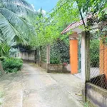Bán biệt thự vườn An Khánh 1000m2 tại Bến Tre - Ảnh thu nhỏ 1