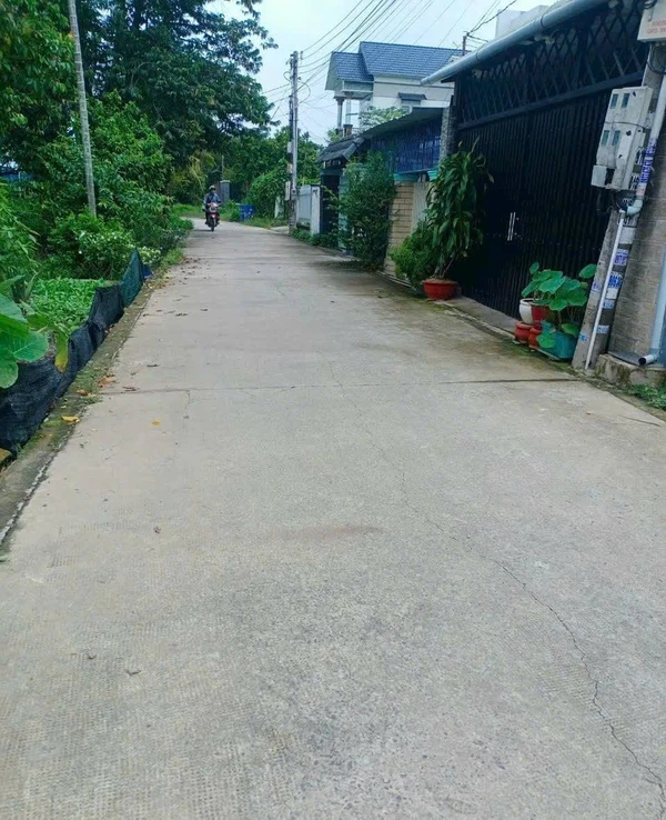Bán đất mặt tiền Bình Nhâm 26, 89 m2, 2,5 tỷ, Bình Chánh