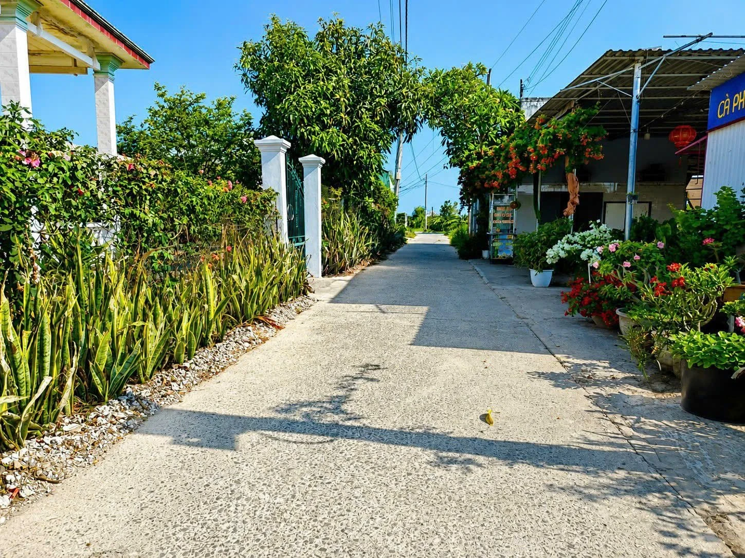Bán đất thổ cư 117m2 Hàm Liêm Lâm Đồng 420 triệu - Ảnh 1