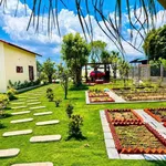 Nhà vườn nghỉ dưỡng 1.600m² Phan Thiết, 1 tỷ 850 triệu - Ảnh thu nhỏ 3