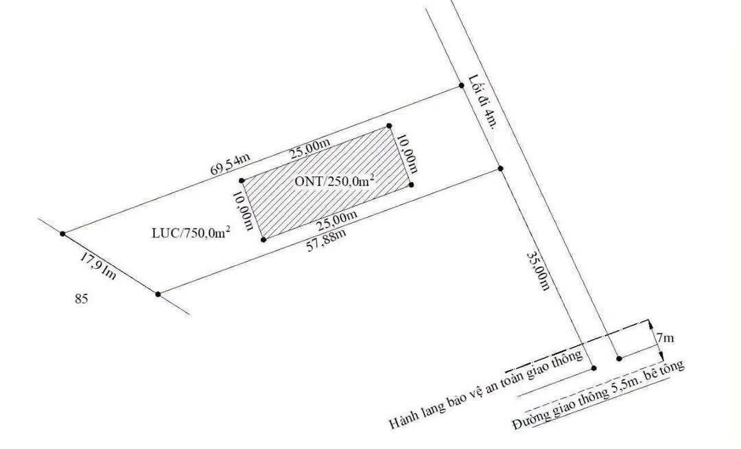 Bán đất 1.000m2 thổ cư tại Lạc Tấn, Tân Trụ, Long An - Ảnh thu nhỏ 5