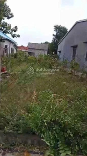 Chính chủ cần gửi bán gấp lô đất giá đầu tư ngay xã Vinh Hiền, Phú Lộc, Thừa Thiên Huế - Ảnh thu nhỏ 5