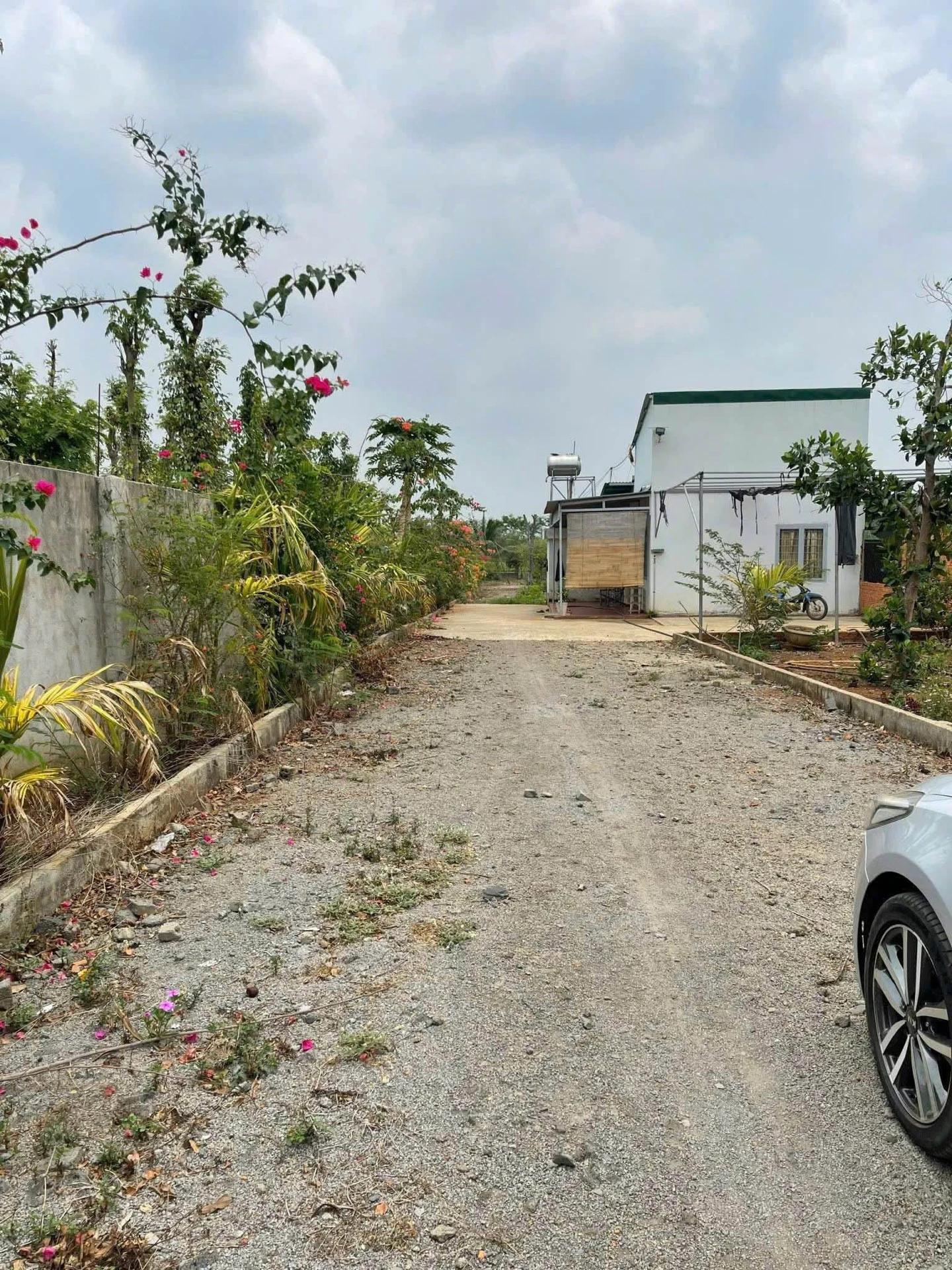 Bán nhà vườn 6,5 sào view ruộng Buôn Ma Thuột - Ảnh 1