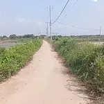 Bán đất 8500m² tại Ba Tri, Bến Tre giá 1 tỷ 20 triệu - Ảnh thu nhỏ 1