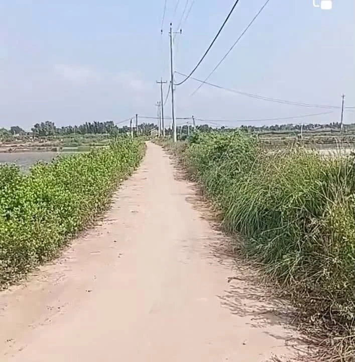 Bán đất 8500m² tại Ba Tri, Bến Tre giá 1 tỷ 20 triệu - Ảnh 1