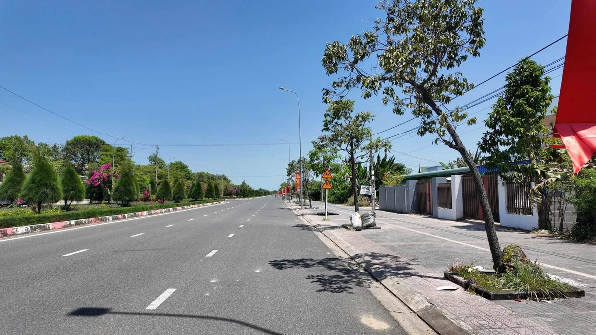 Bán lô đất Văn Tiến Dũng Tân Hưng 1000m2 11 tỷ 800 triệu - Ảnh thu nhỏ 5