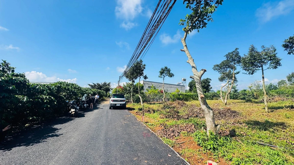 Bán lô đất thổ cư mặt tiền đường nhựa 6m tại Tân Hội giá 990 triệu - Ảnh thu nhỏ 2