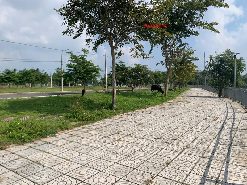 Bán lô đất biệt thự 205m² view sông Quảng Ngãi 1,95 tỷ