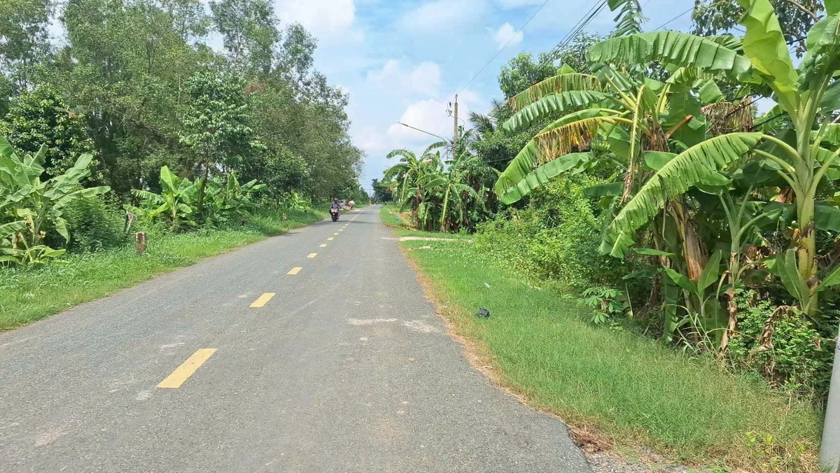 Bán đất thổ cư 196m2 mặt tiền nhựa ĐH Thanh Phong, Tân Trụ, giá 999 triệu - Ảnh thu nhỏ 3