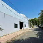 BÁN GẤP SIÊU RẺ MẢNH ĐẤT 2500M2 FULL THỔ - TRƯỜNG AN VĨNH LONG - CHỈ 37 TỶ - Ảnh thu nhỏ 5