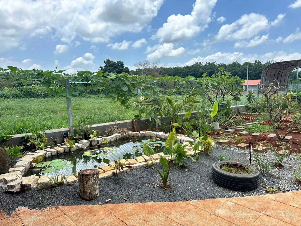 Bán nhà vườn 500m² Xã Long Phước, TP. Bà Rịa, 1 tỷ 790 triệu - Ảnh 1