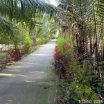Bán đất vườn 1.356m² Phước Long, Vĩnh Long - Ảnh thu nhỏ 3