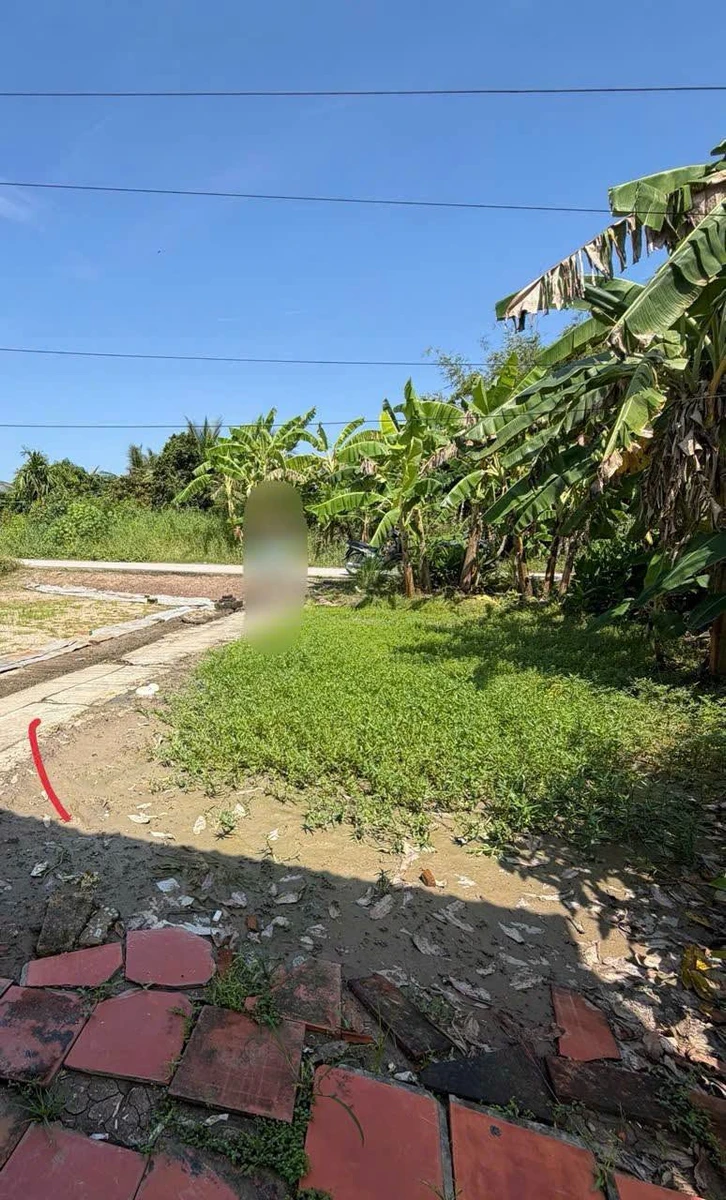 Bán nhanh đất 5x60m giá 470 triệu, lộ 4m sau lưng Công ty Minh Phú, Cà Mau - Ảnh thu nhỏ 2