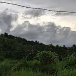 Bán lô đất 2,7 ha tại Bảo Lâm, giá 6,3 tỷ - Ảnh thu nhỏ 2