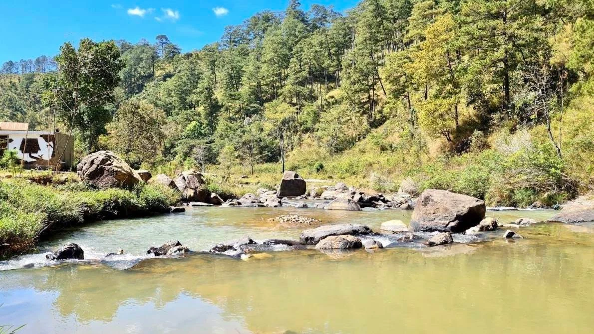 Bán lô đất view rừng thông và hồ 1080m² Đà Lạt - Ảnh thu nhỏ 4
