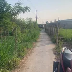 Bán 2 nền liền kề Gò Công Đông 924m² giá 599 triệu - Ảnh thu nhỏ 2