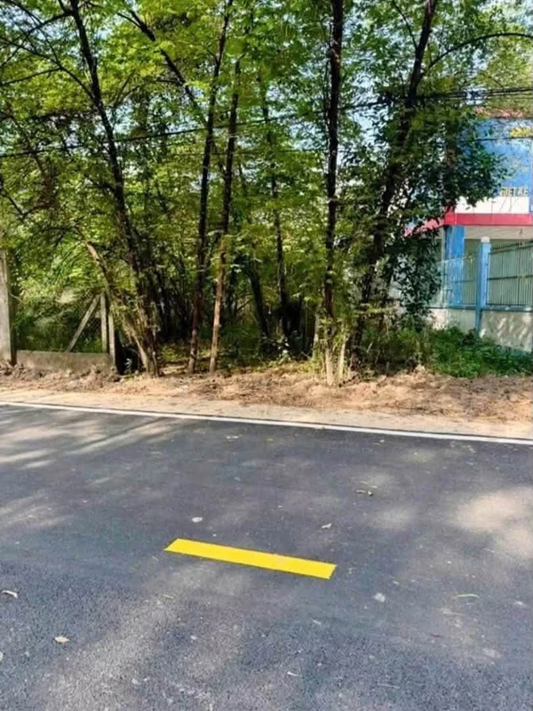 Bán 2 lô đất trục đường 12m Phú An, Bình Dương, giá 1tỷ800