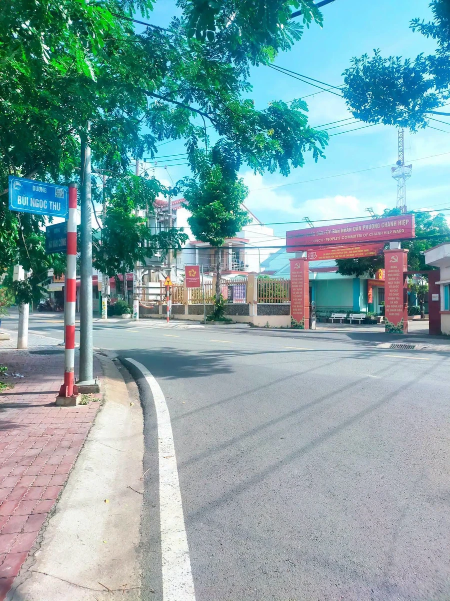 Bán đất mặt tiền Bùi Ngọc Thu Thủ Dầu Một Bình Dương 724m² - Ảnh thu nhỏ 3
