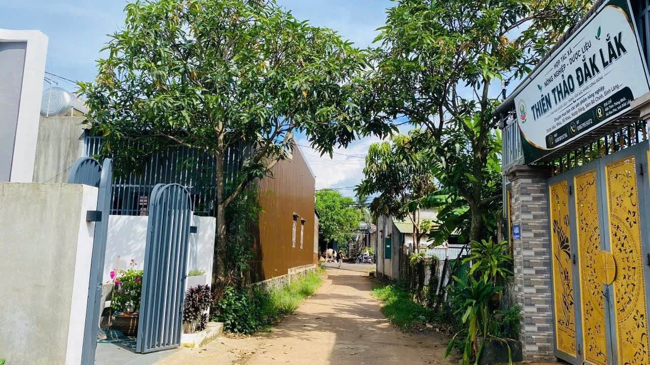 Bán đất hẻm Tỉnh lộ 2 Hòa Khánh, 252m², 950 triệu - Ảnh 1