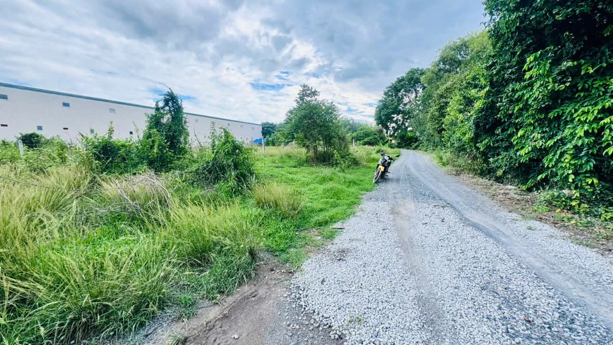 Bán đất full thổ cư 130m² Phước Thạnh Tây Ninh 495 triệu - Ảnh thu nhỏ 4