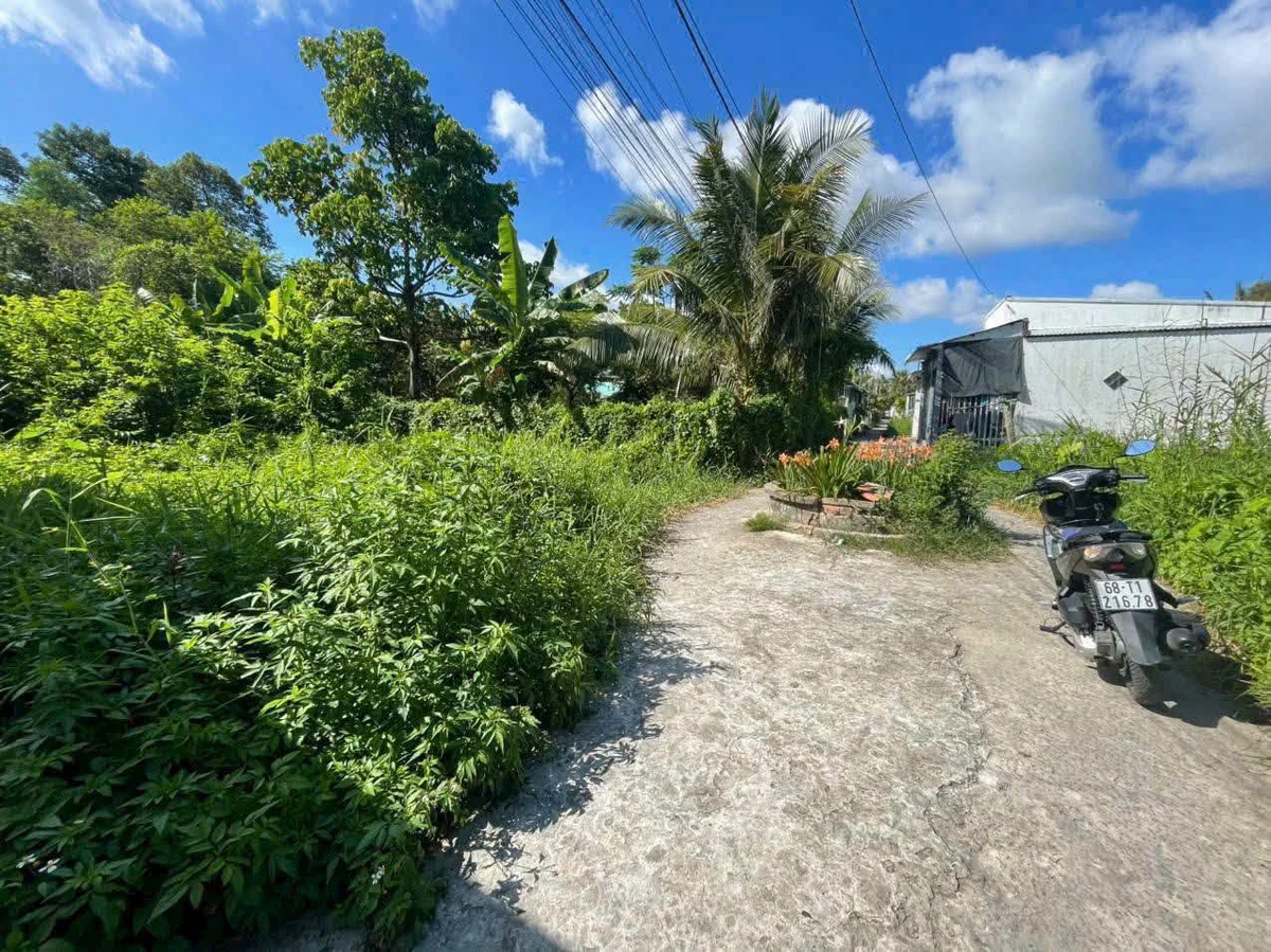 Bán đất nền Châu Thành Kiên Giang 105m² 260 triệu - Ảnh 1