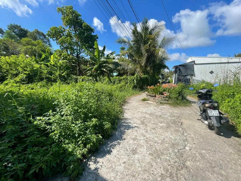 Bán đất nền Châu Thành Kiên Giang 105m² 260 triệu