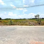 Bán đất Hoà Khánh Đức Hoà 2784 m² mặt tiền đường số 4 - Ảnh thu nhỏ 1