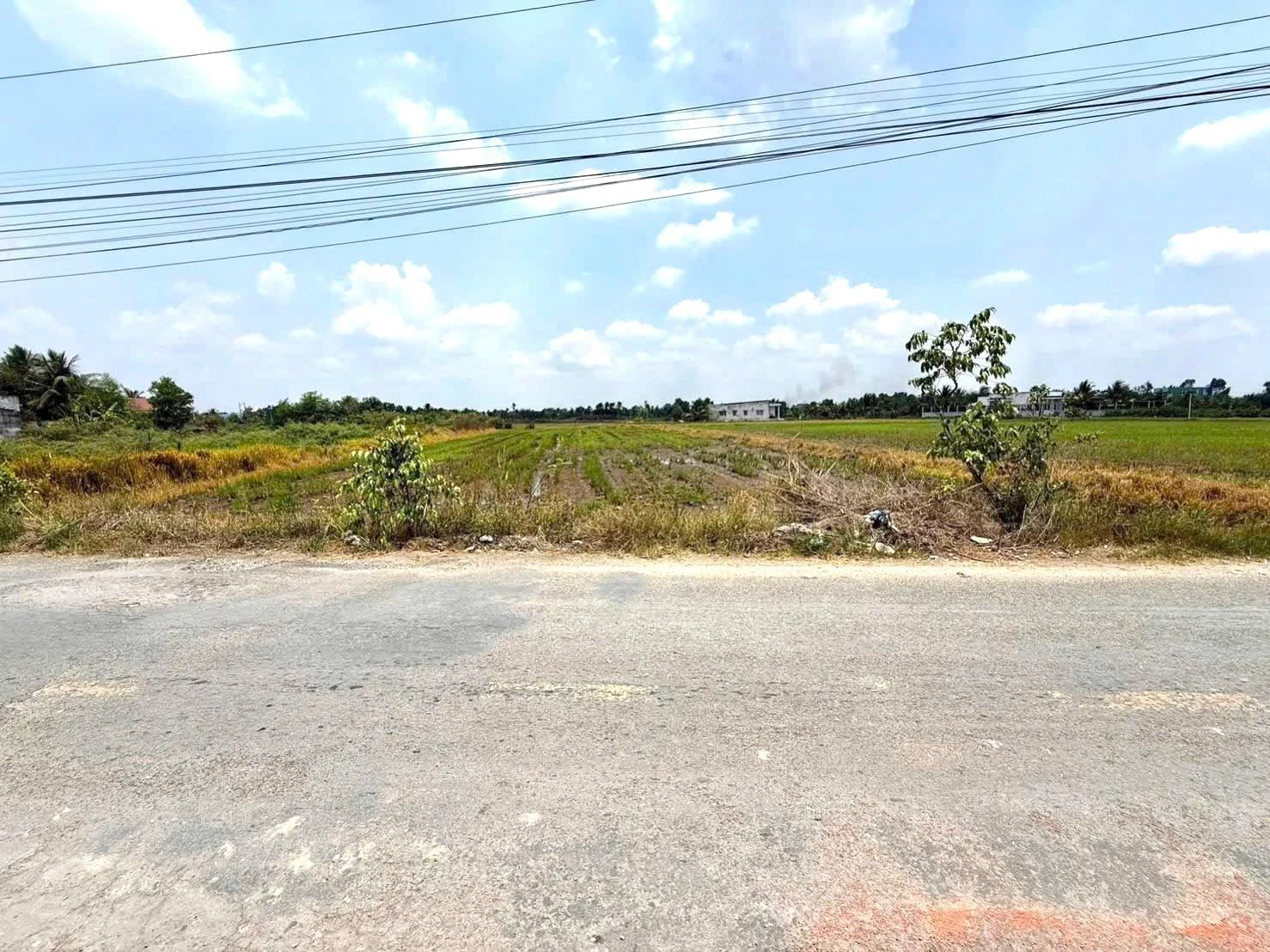 Bán đất Hoà Khánh Đức Hoà 2784 m² mặt tiền đường số 4 - Ảnh 1