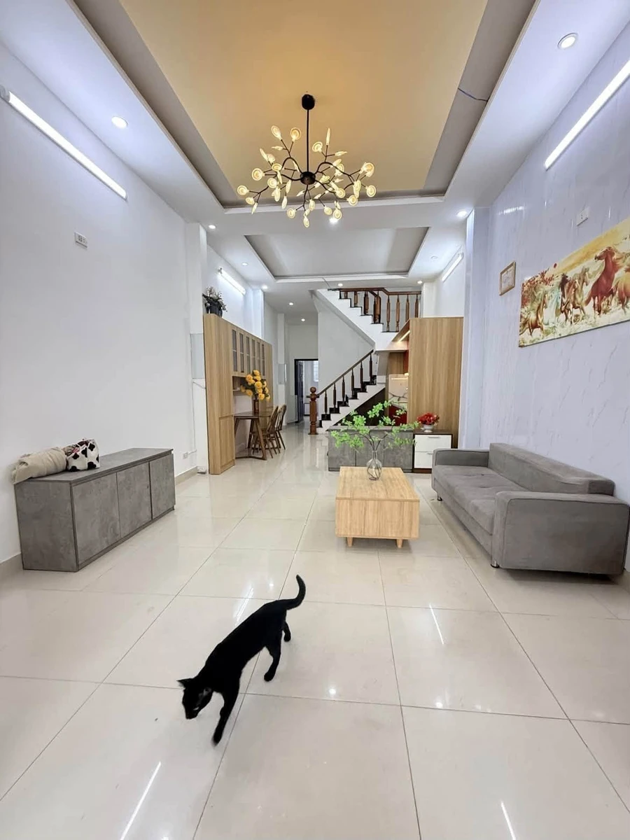 Bán nhà 2 tầng 74m² 3 PN Trần Huy Liệu Cẩm Lệ - Ảnh thu nhỏ 5