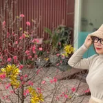 Cần bán gấp căn 1PN+ 1 ban công view biển, giá tốt tại Meyhomes Phú Quốc - Ảnh thu nhỏ 27