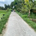 Bán đất ruộng 2.4 công mặt tiền 650 triệu Vĩnh Long - Ảnh thu nhỏ 1