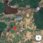 Bán 6000 m2 đất cây trồng Bình Thuận 1 tỷ 100 triệu - Ảnh thu nhỏ 1