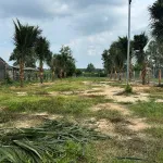 Bán lô đất Bông Trang diện tích: 675m² có 187m² thổ cư ngang 14mx50m đường nhựa, gần Quốc Lộ 55 - Ảnh thu nhỏ 10