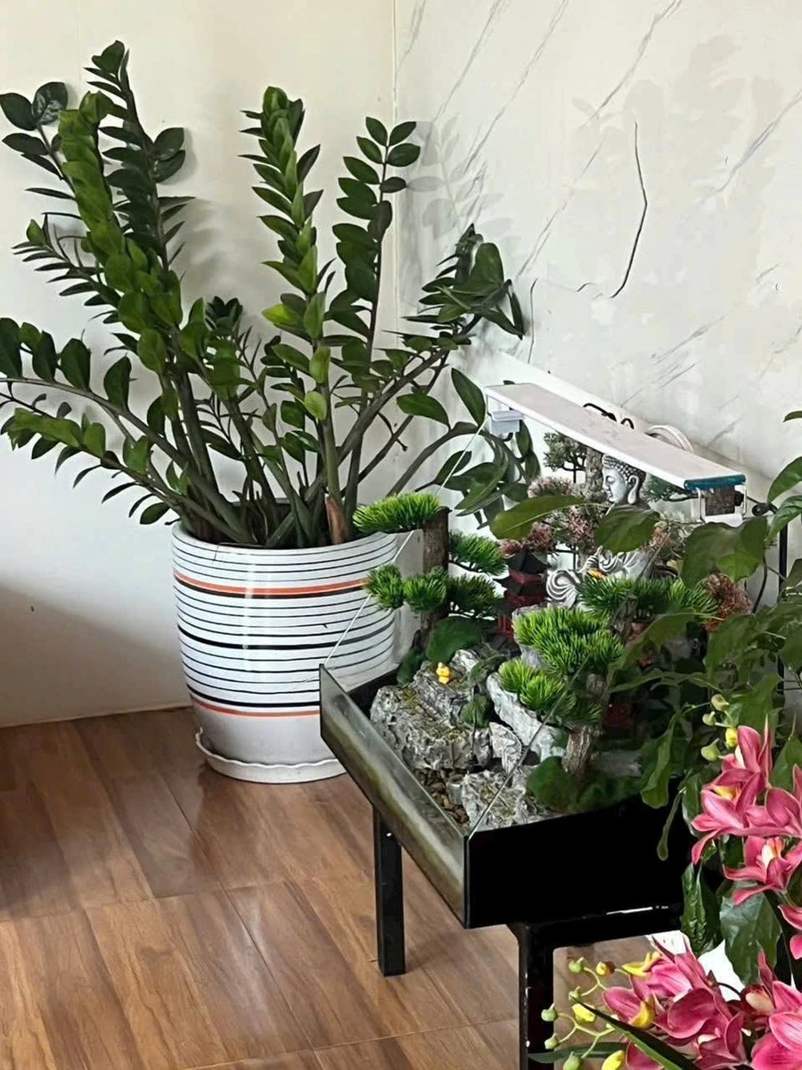 Bán nhà vườn 2,2 sào với sân rộng tại Buôn Ma Thuột - Ảnh thu nhỏ 4