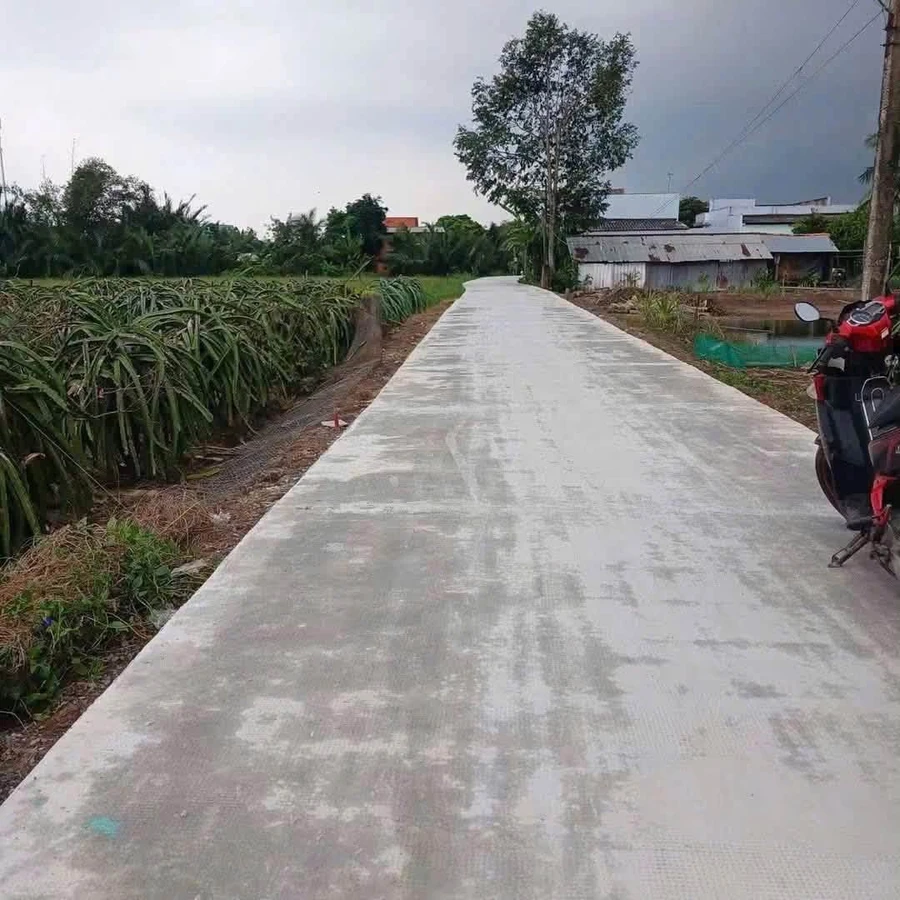 Bán 1.000m2 đất lúa chuyển thổ cư giá 550 triệu tại Thuận Mỹ, Châu Thành, Long An - Ảnh thu nhỏ 2