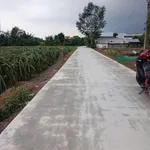 Bán 1.000m2 đất lúa chuyển thổ cư giá 550 triệu tại Thuận Mỹ, Châu Thành, Long An - Ảnh thu nhỏ 2