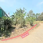 Bán lô đất ~1000m² sổ hồng tại TP. Đồng Nai - Ảnh thu nhỏ 5