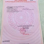 Bán đất lúa 2 công Ấp Bình Ân, Long An - Ảnh thu nhỏ 4