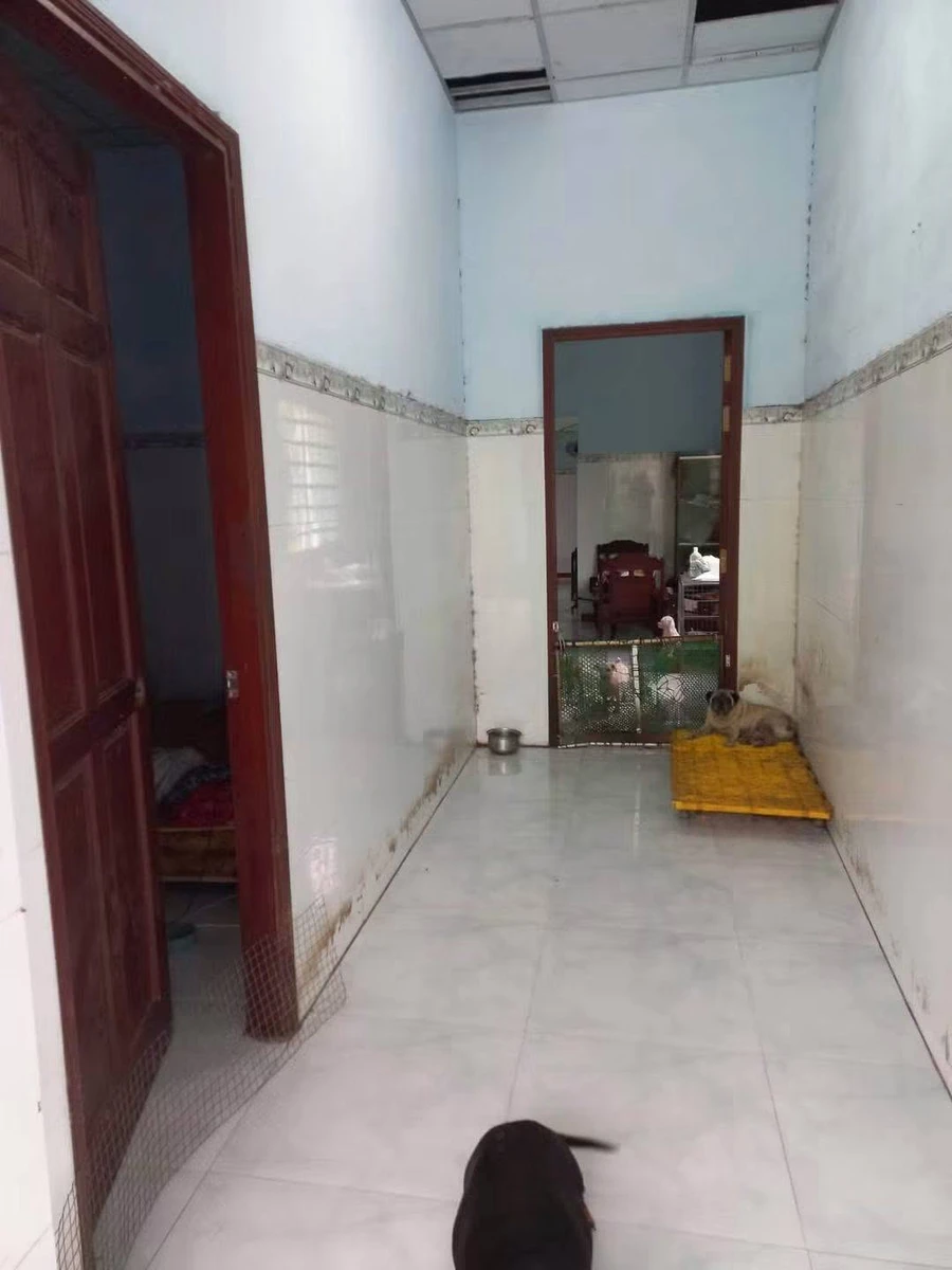Bán đất mặt tiền đường tỉnh 885, 395m² Giồng Trôm Vĩnh Long - Ảnh thu nhỏ 3