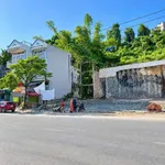 Bán đất nền 1.115m² mặt tiền 32m Hà Lầm Hạ Long - Ảnh thu nhỏ 2