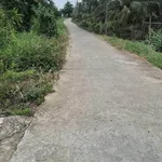 Bán đất lúa 25x40 (1000m2) có thể chuyển thổ cư, view kênh, giá 1,1 tỷ, Hiệp Thạnh Châu Thành - Ảnh thu nhỏ 2