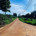 Bán đất 1000m² có nhà C4 xã Đan Phượng, Lâm Đồng 1,4 tỷ - Ảnh thu nhỏ 2