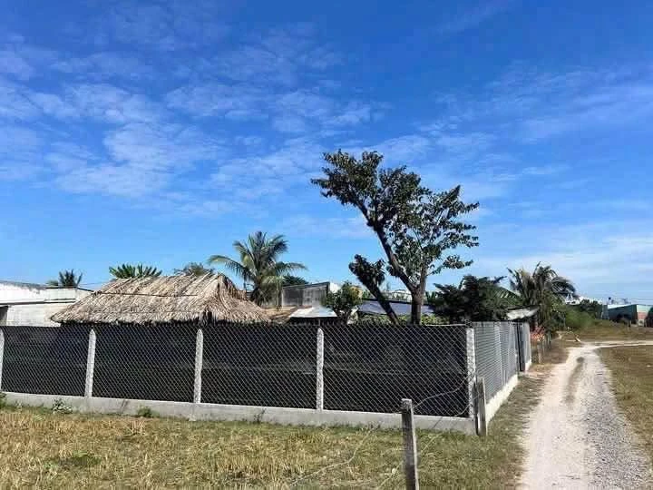 Bán nền đất vườn 560m² Mỹ Hạnh, Long An, 900 triệu - Ảnh thu nhỏ 4