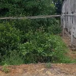 Bán nền thổ cư mặt tiền 120m² Bến Lức Tây Ninh 690 triệu - Ảnh thu nhỏ 4