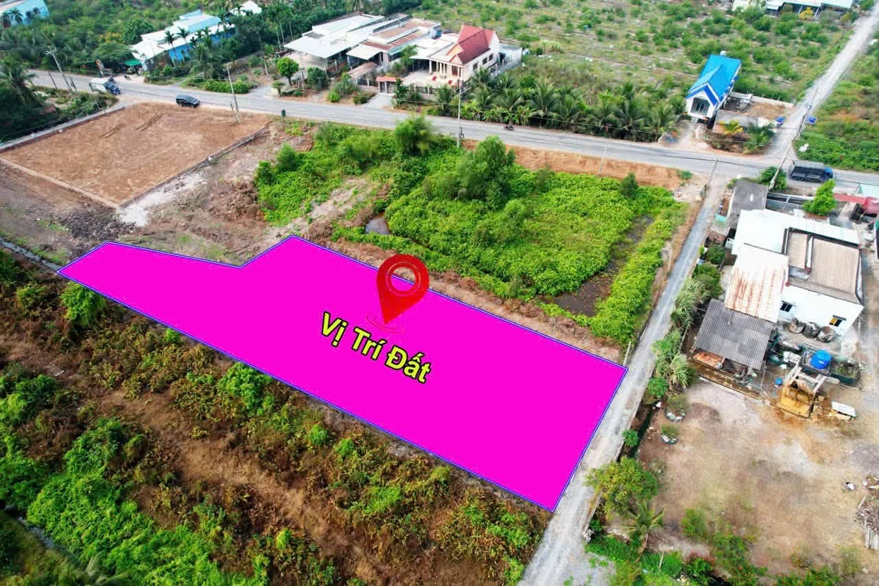 Bán 2 lô đất thổ cư 500m² và 652m² giá 1,15 tỷ/lô tại Thạnh Hòa, Bến Lức, Long An - Ảnh 1