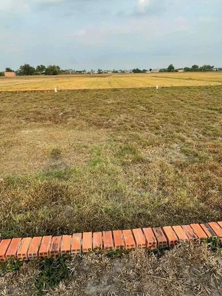 Bán đất nông thôn 103m² Long An 850 triệu - Ảnh 1