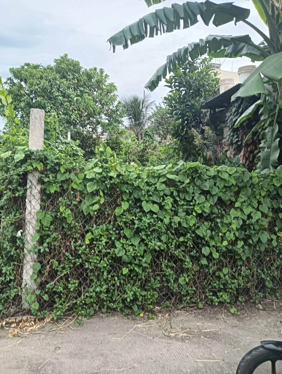Bán đất 162m2 Phường Trương Quang Trọng Quảng Ngãi - Ảnh thu nhỏ 2