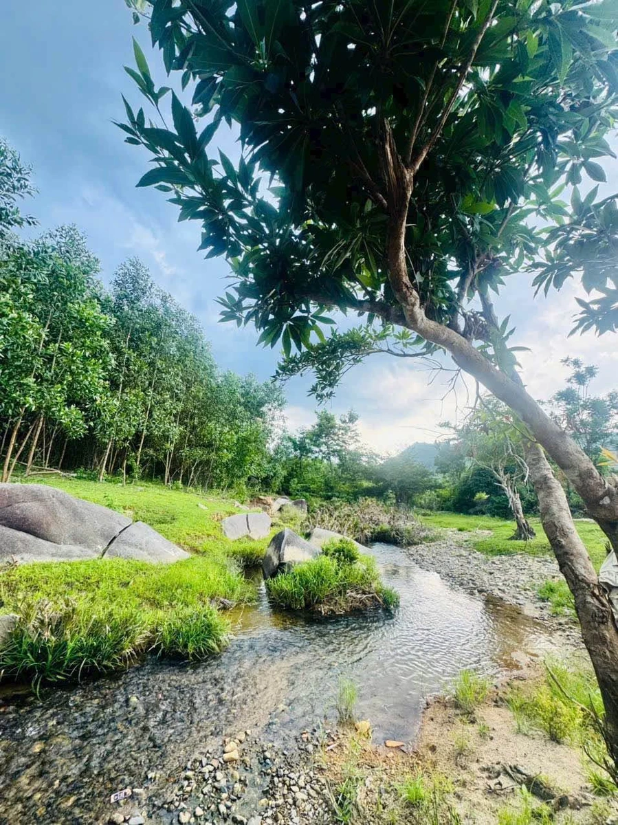 Bán đất Khánh Đông 934m2 với 60m thổ cư 699 triệu - Ảnh thu nhỏ 3
