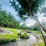 Bán đất Khánh Đông 934m2 với 60m thổ cư 699 triệu - Ảnh thu nhỏ 3